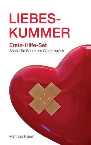 Liebeskummer Erste-Hilfe-Set de Matthias Plaum