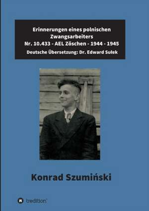 Erinnerungen eines polnischen Zwangsarbeiters de Edward Dr. Sulek