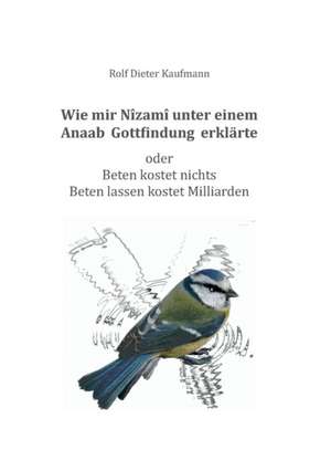 Wie mir Nîzamî unter einem Anaab Gottfindung erklärte de Rolf Dieter Kaufmann