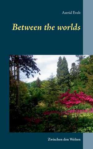 Between the worlds de Astrid Evelt
