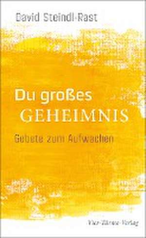 Du großes Geheimnis de David Steindl-Rast