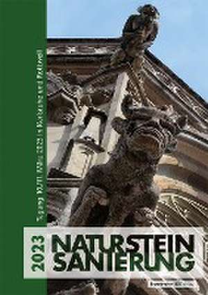 Natursteinsanierung 2023. de Gabriele Patitz