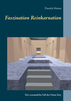 Faszination Reinkarnation de Daniela Mattes