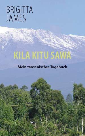 Kila Kitu Sawa de Brigitta James