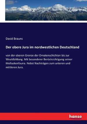 Der obere Jura im nordwestlichen Deutschland de David Brauns