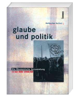 Glaube und Politik de Katharina Seifert