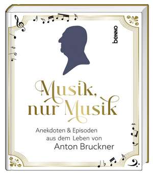 Musik, nur Musik de Hermann Multhaupt