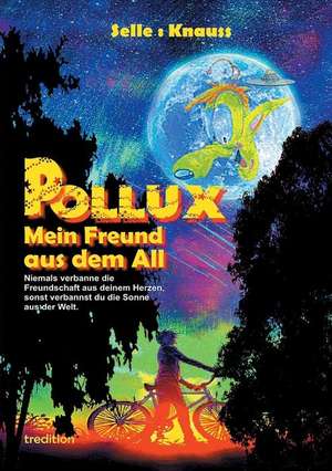 POLLUX - Mein Freund aus dem All de Susanne Knauss