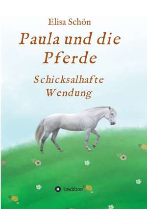 Paula und die Pferde de Elisa Schön