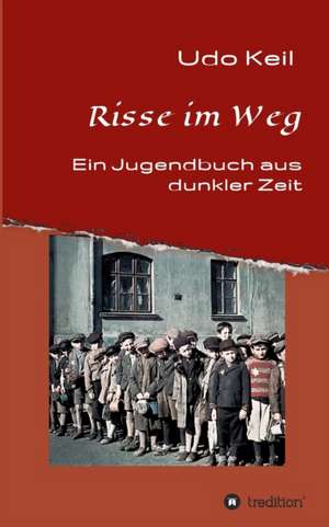 Risse im Weg de Udo Keil
