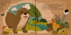 Meine Waldfreunde. Der kleine Otter de Carla Häfner