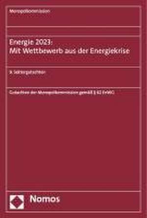 Energie 2023: Mit Wettbewerb aus der Energiekrise de Monopolkommission