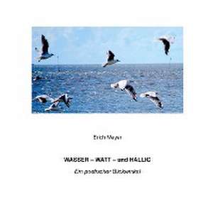 Wasser - Watt - und Hallig de Erich Meyer