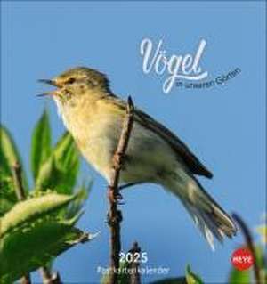 Vögel in unseren Gärten Postkartenkalender 2025 de Heye