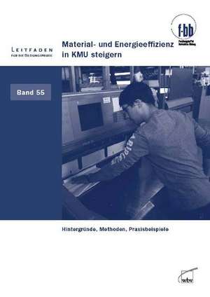 Material- und Energieeffizienz in KMU steigern de Heidemarie Hofmann