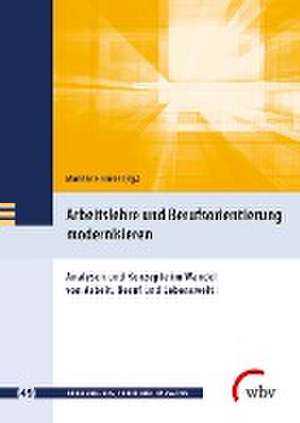 Arbeitslehre und Berufsorientierung modernisieren de Marianne Friese