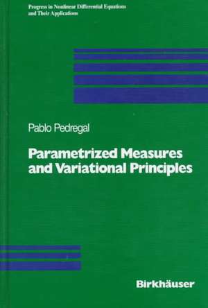 Parametrized Measures and Variational Principles de Pablo Pedregal