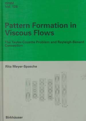 Pattern Formation in Viscous Flows: The Taylor-Couette Problem and Rayleigh-Bénard Convection de Rita Meyer-Spasche