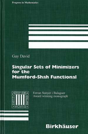 Singular Sets of Minimizers for the Mumford-Shah Functional de Guy David