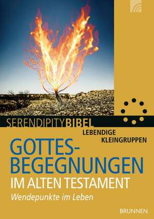 Gottesbegegnungen im Alten Testament de Stefan Kürle