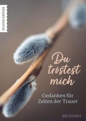Du tröstest mich de Christine Benda