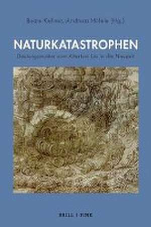 Naturkatastrophen de Andreas Höfele