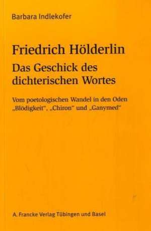 Friedrich Hölderlin: Das Geschick des dichterischen Wortes de Barbara Indlekofer