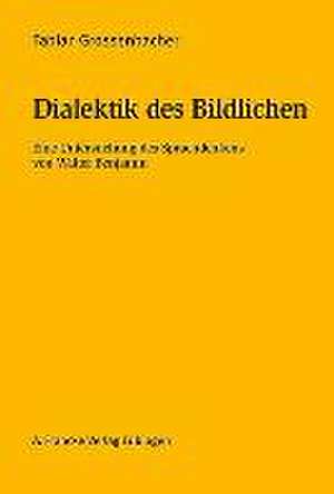 Dialektik des Bildlichen de Fabian Grossenbacher