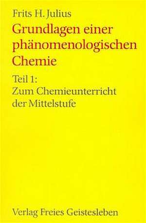 Grundlagen einer phänomenologischen Chemie de Frits H Julius