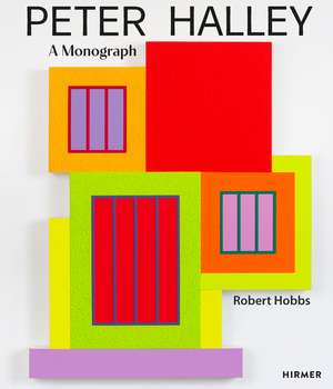 Peter Halley: A Monograph de Robert Hobbs