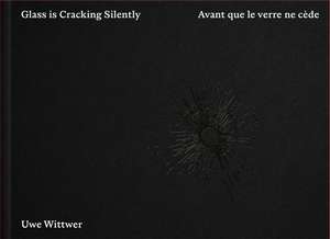 Uwe Wittwer: Glass is Cracking Silently de Marie Gaitzsch