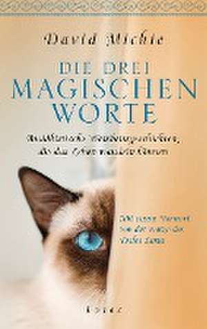 Die drei magischen Worte de David Michie