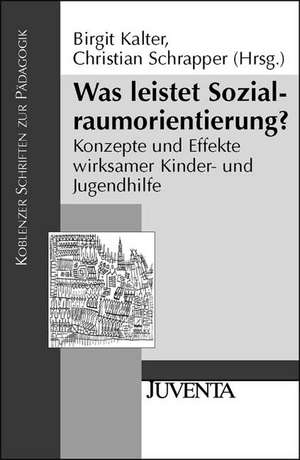 Was leistet Sozialraumorientierung? de Birgit Kalter