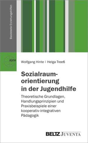 Sozialraumorientierung in der Jugendhilfe de Wolfgang Hinte