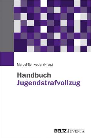 Handbuch Jugendstrafvollzug de Marcel Schweder