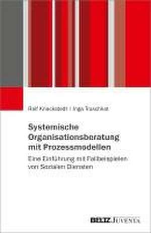 Systemische Organisationsberatung mit Prozessmodellen de Ralf Knackstedt