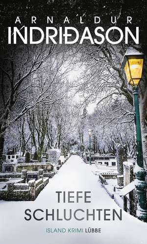 Tiefe Schluchten de Arnaldur Indriðason