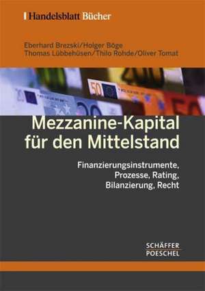 Mezzanine-Kapital für den Mittelstand de Eberhard Brezski