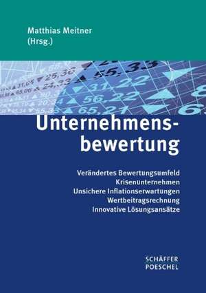 Unternehmensbewertung de Matthias Meitner