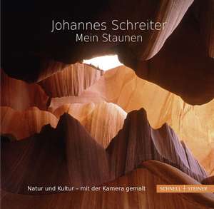 Mein Staunen de Johannes Schreiter