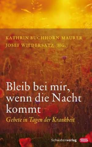 Buchhorn-Maurer, K: Bleib bei mir, wenn die Nacht kommt