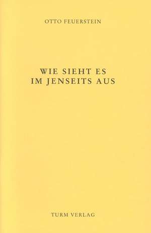 Wie sieht es im Jenseits aus? de Otto Feuerstein