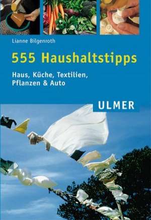 555 Haushaltstipps de Lianne Bilgenroth