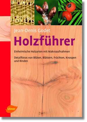 Holzführer de Jean-Denis Godet