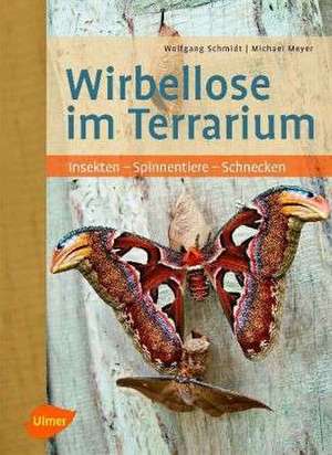 Wirbellose im Terrarium de Wolfgang Schmidt