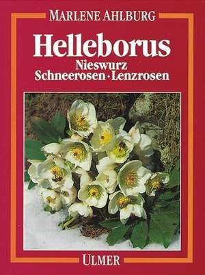 Helleborus. Nieswurz, Schneerosen, Lenzrosen de Marlene Sophie Ahlburg