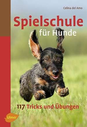 Spielschule für Hunde de Celina DelAmo