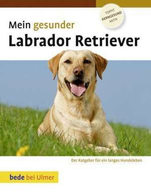 Mein gesunder Labrador Retriever de Lowell Ackerman