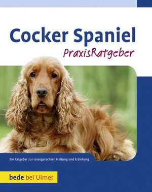 Cocker Spaniel de Haja van Wessem