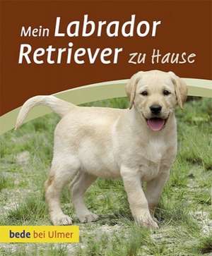 Mein Labrador Retriever zu Hause de Maike Harms